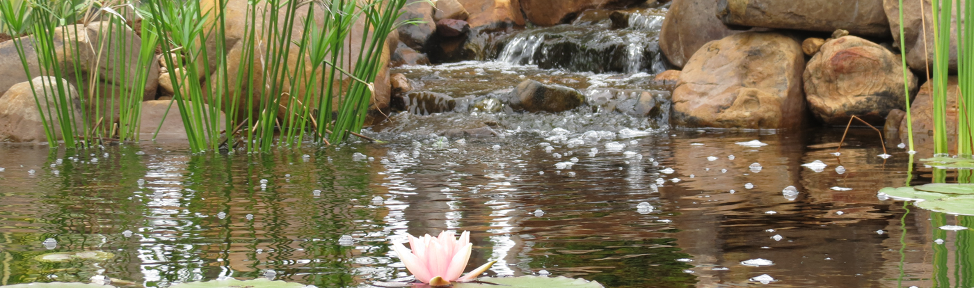 Water Features
